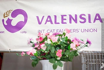 Репортаж с выставки "Летний кубок "Валенсии"