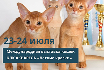 Международная выставка кошек КЛК АКВАРЕЛЬ «Летние краски». 23-24 июля