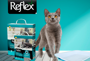 Встречайте комкующиеся наполнители Reflex в России